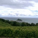 Getaria from "txakoli" vineyards tour of the basque country