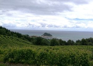 Getaria from "txakoli" vineyards tour of the basque country