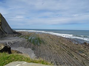 DSC00686