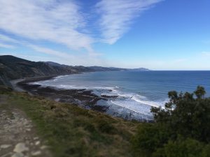 IMG_20180302_110144_1