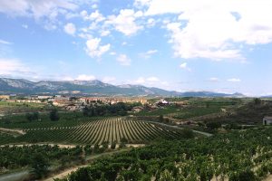 rioja wine tasting tours