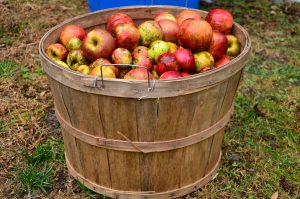 san sebastian cider tour