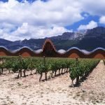 rioja tours from san sebastian rioja tours from san sebastian