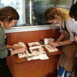 IMG_20180627_112959