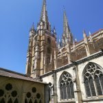 IMG_20190607_144622_1
